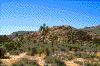 Click on thumbnail to view a full-size image