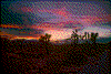 Click on thumbnail to view a full-size image