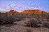 Click on thumbnail to view a full-size image