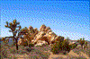 Click on thumbnail to view a full-size image