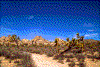 Click on thumbnail to view a full-size image