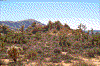 Click on thumbnail to view a full-size image