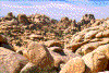 Click on thumbnail to view a full-size image
