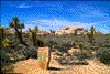 Click on thumbnail to view a full-size image