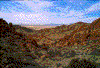Click on thumbnail to view a full-size image
