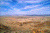 Click on thumbnail to view a full-size image