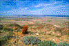 Click on thumbnail to view a full-size image
