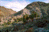 Click on thumbnail to view a full-size image