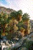 Click on thumbnail to view a full-size image