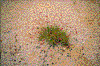 Click on thumbnail to view a full-size image