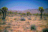 Click on thumbnail to view a full-size image