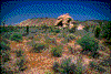 Click on thumbnail to view a full-size image
