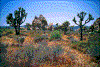 Click on thumbnail to view a full-size image
