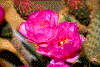 Click on thumbnail to view a full-size image