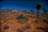 Click on thumbnail to view a full-size image