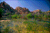 Click on thumbnail to view a full-size image