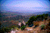 Click on thumbnail to view a full-size image