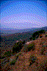 Click on thumbnail to view a full-size image