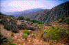 Click on thumbnail to view a full-size image