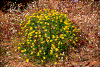 Click on thumbnail to view a full-size image