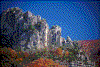 Click on thumbnail to view a full-size image