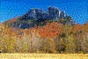 Click on thumbnail to view a full-size image