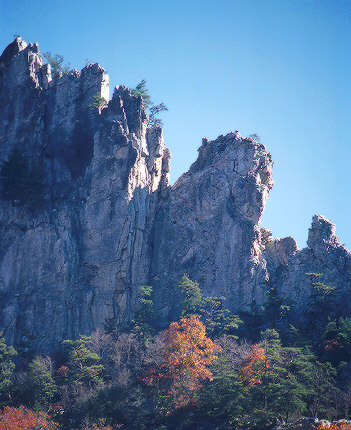 Sentinel Rock and Pines