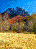 Click on thumbnail to view a full-size image