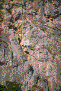 Click on thumbnail to view a full-size image