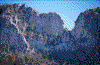 Click on thumbnail to view a full-size image