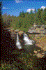 Click on thumbnail to view a full-size image