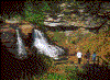 Click on thumbnail to view a full-size image