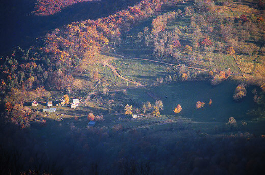 View from Spruce Knob