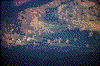 Click on thumbnail to view a full-size image