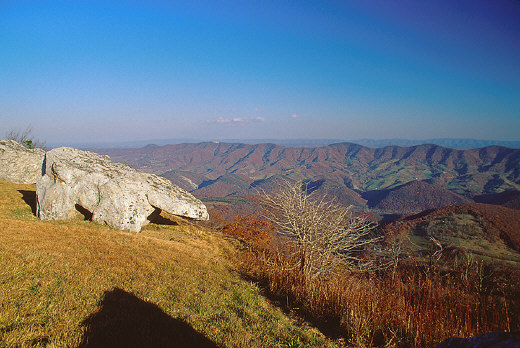 Beast-in-the-Stone