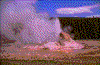 Click on thumbnail to view a full-size image