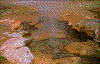 Click on thumbnail to view a full-size image