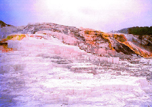 Mammoth Springs