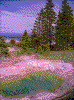 Click on thumbnail to view a full-size image