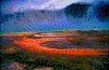 Click on thumbnail to view a full-size image