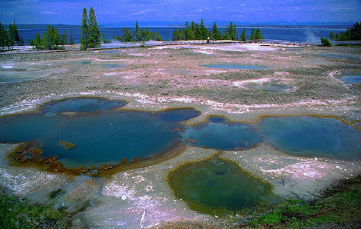 Emerald Springs