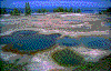 Click on thumbnail to view a full-size image