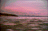Click on thumbnail to view a full-size image