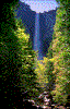 Click on thumbnail to view a full-size image