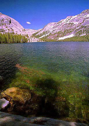 Tenaya Lake