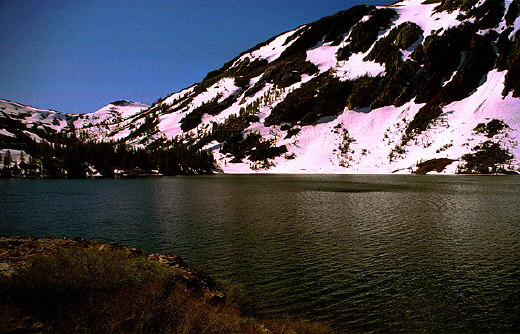 Ellery Lake