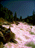 Click on thumbnail to view a full-size image