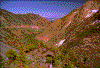 Click on thumbnail to view a full-size image