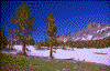 Click on thumbnail to view a full-size image