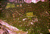 Click on thumbnail to view a full-size image